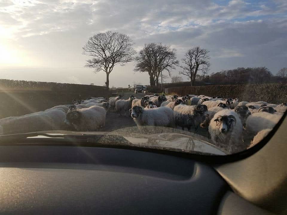 FB_IMG_1769533566953