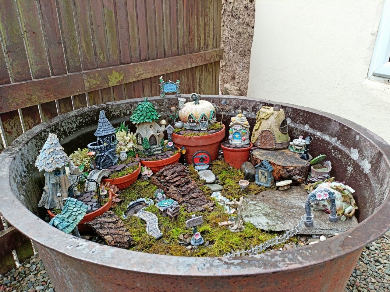 IMG-20210817-WA0002